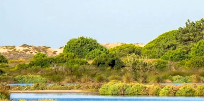 Ria Formosa Natural Park